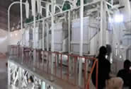 maize milling plant